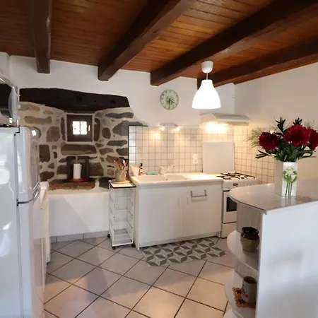 Ferienhaus Maison De Caractere, 4 Pers, Cheminee, Cour Fermee, Proche Activites Nautiques Et Thermales - Fr-1-742-223 Neuvéglise
